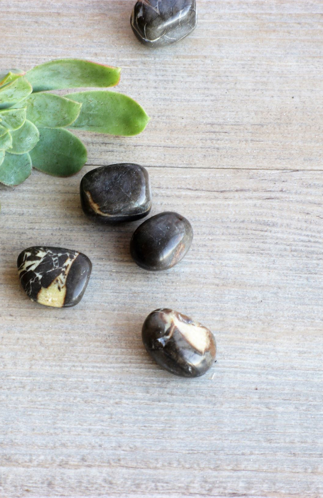 Septarian Stone  (aka Dragon Stone) Tumbled Stone